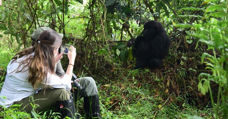 Birdwatching in Bwindi: Uganda’s Avian Paradise