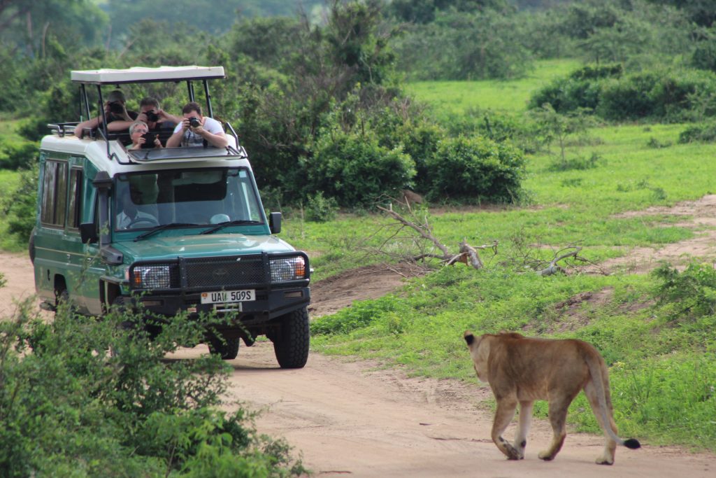 A Photographer’s Paradise: Capturing Murchison Falls National Park