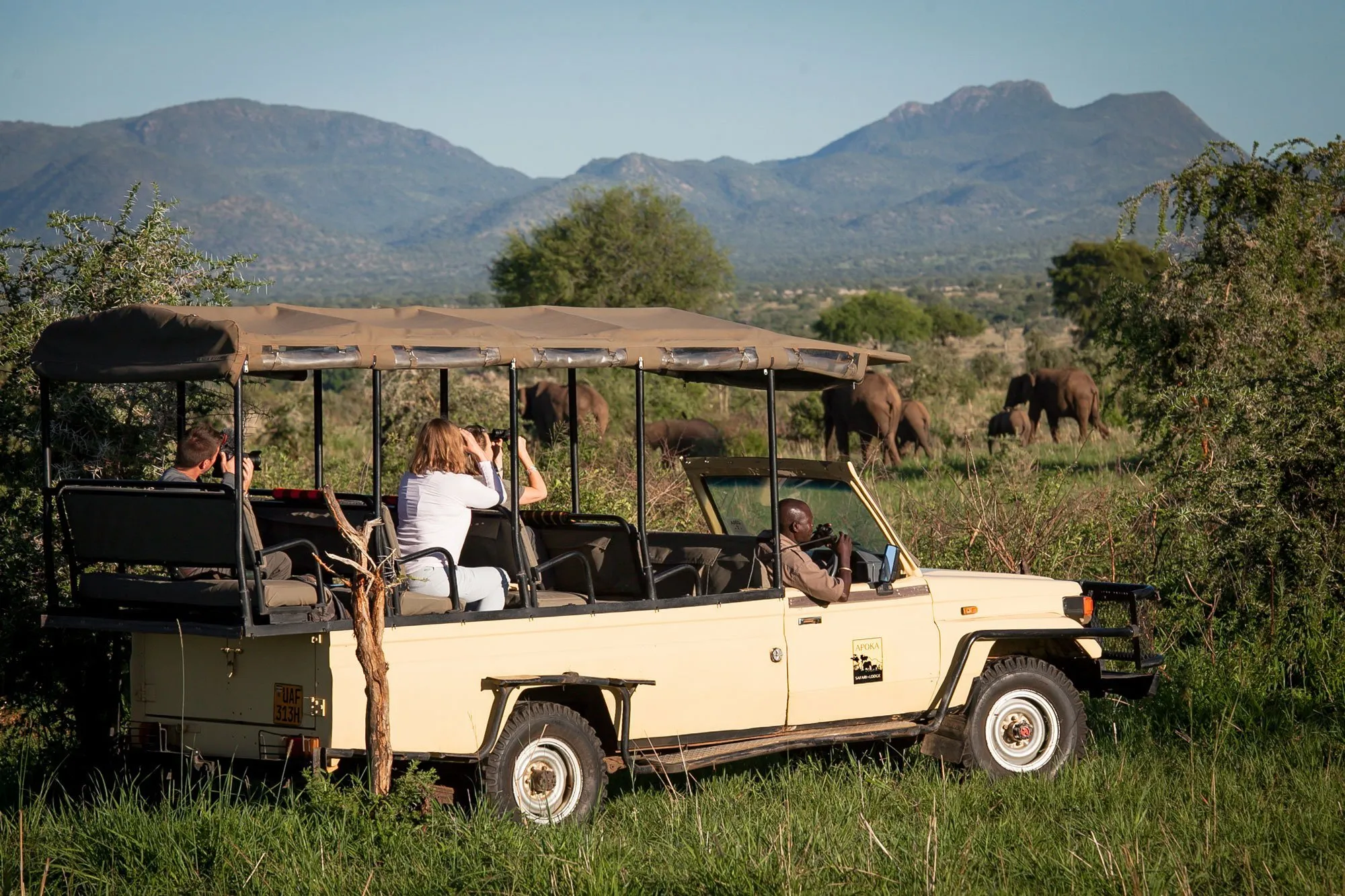 Adventure Road Trip to Kidepo Valley National Park