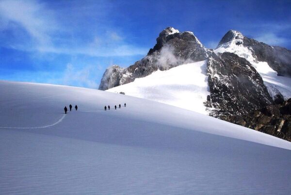 Climbing the Rwenzori Mountains