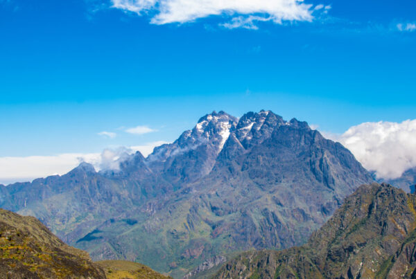 Conservation Efforts in Rwenzori