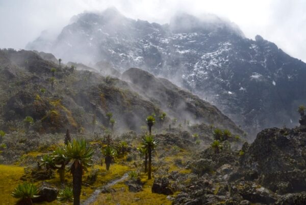 Cultural Tours around Rwenzori