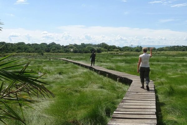 Exploring Semuliki National Park
