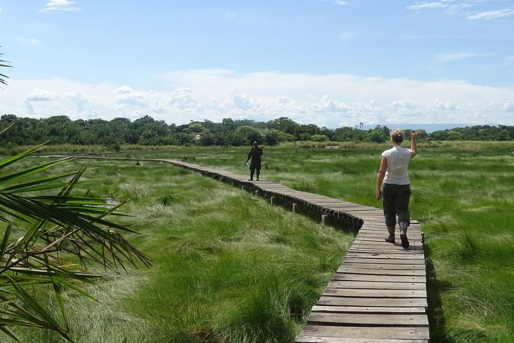 Exploring Semuliki National Park: Uganda’s Birding Paradise