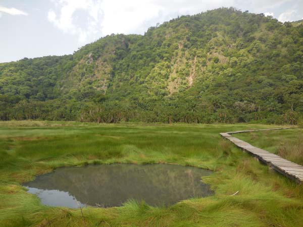 Flora and Fauna of Semuliki Forest Explained