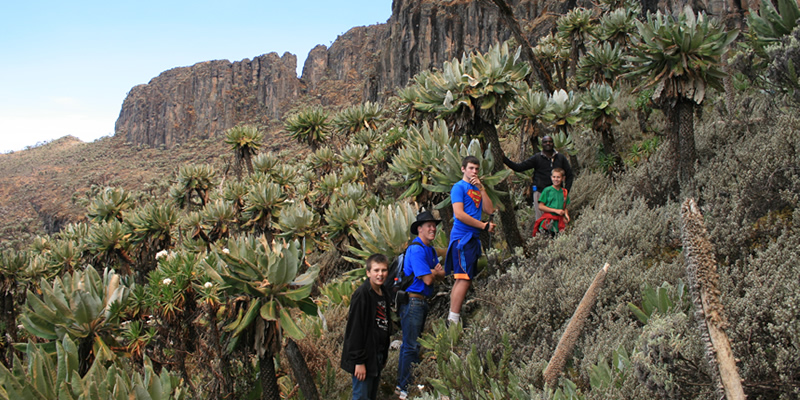 Hiking Mount Elgon: A Complete Trekking Guide