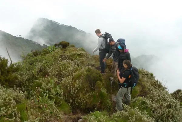 Hiking Mount Muhabura in Mgahinga