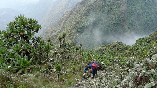 Hiking Mount Sabinyo in Mgahinga
