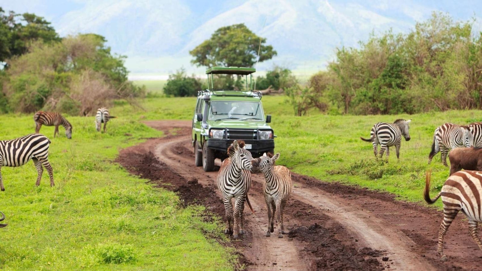 How to Combine Lake Mburo with Gorilla Trekking Safaris