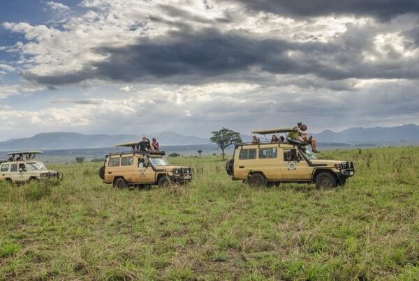 How to Reach Kidepo Valley