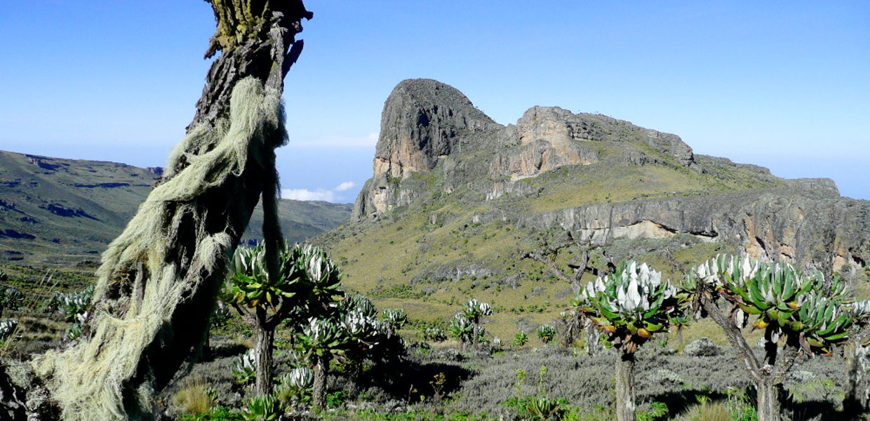 Photography in Mount Elgon National Park