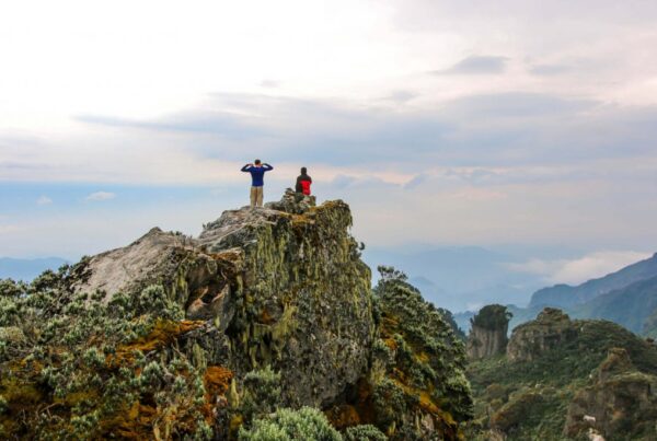 Rwenzori Hiking Itinerary Options