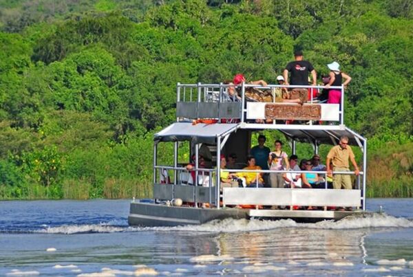 Travel Guide to Murchison Falls